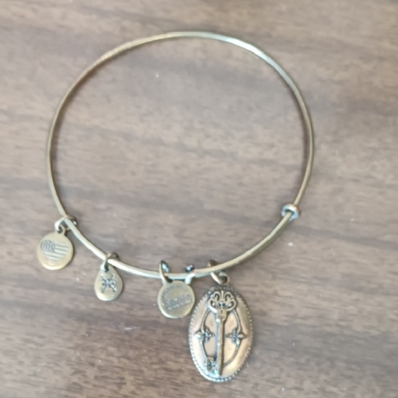 Alex And Ani Gold Charm Bangle Bracelet - Picture 1 of 5